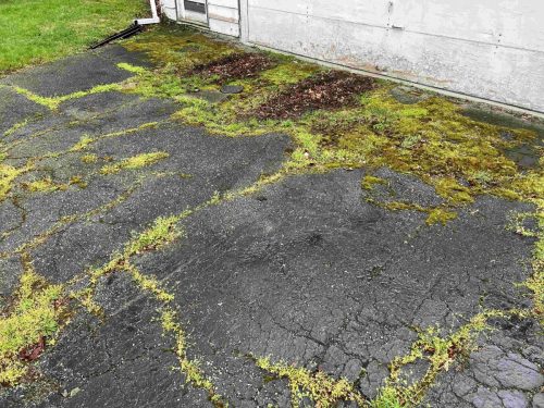 eastside-striping-solutions-2025-08-08T15 06 21.404994Z-4052.2004942851186